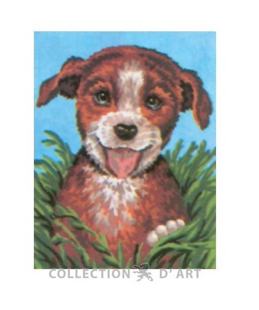 Kit Canovaccio Quadro Per Mezzo Punto cm Canovaccio 20x25-disegno 14x18 Soggetto Cane