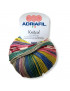 Filato Gomitolo 100% lana Adriafil Knitcol 50gr 125mt  mix color n°89 Ferri Consigliati n° 4,5