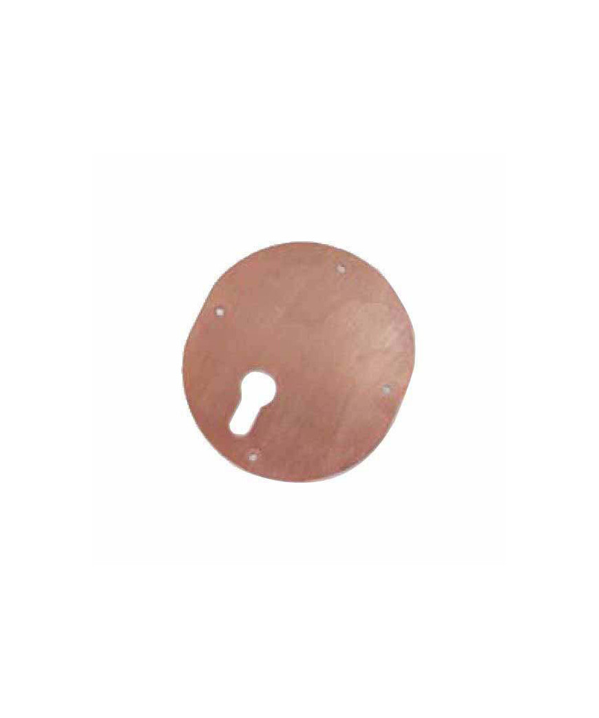 MOSTRINA INTERNA OVALE DX BRONZATA   95441 MOTTURA