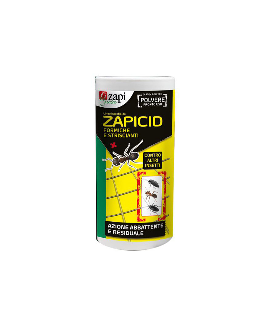 INSETTICIDA FORMICHE POLVERE ZAPICID    g 250 ZAPI