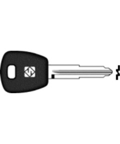 PO1RTE    CHIAVE TRANSPONDER NO CHIP PROTON